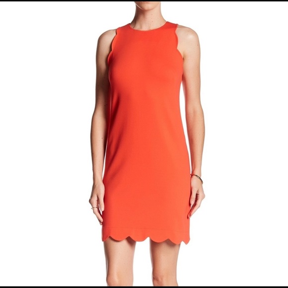 Vince Camuto Dark Coral Scallop Hem Shift Dress - Picture 5 of 6
